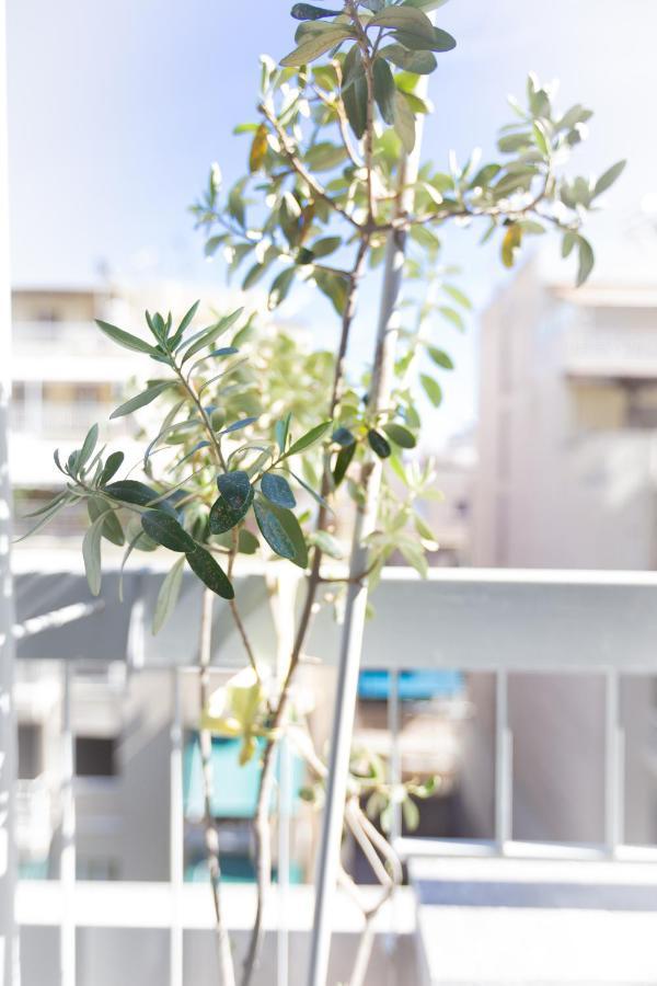 Beautiful And Comfortable Apartment At Marina Zeas Pireus Exteriör bild